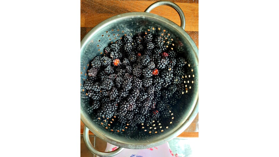 Blackberries ready to be made into jams at our Jam-Making Workshop.