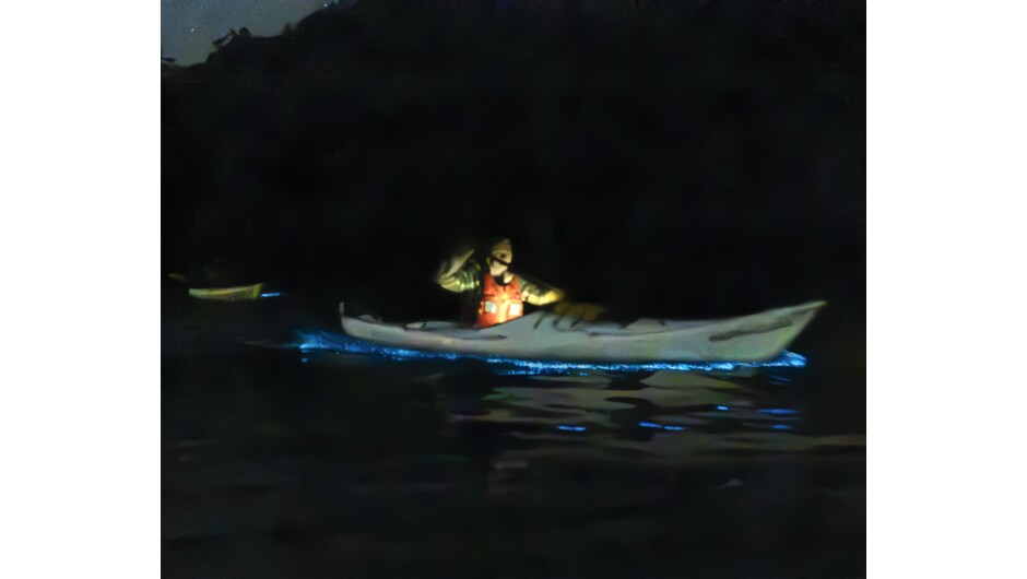 Bioluminescent Kayak Tour