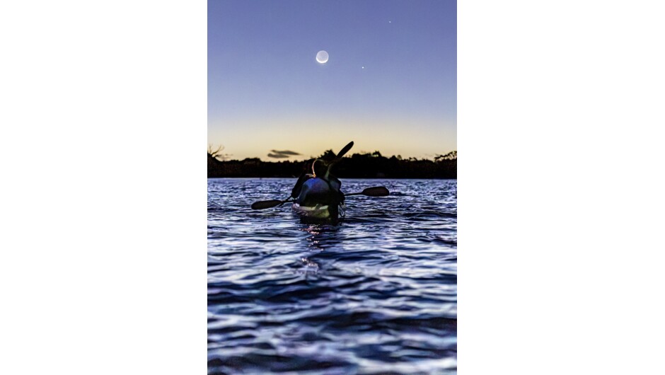 Bioluminescent Kayak Tour