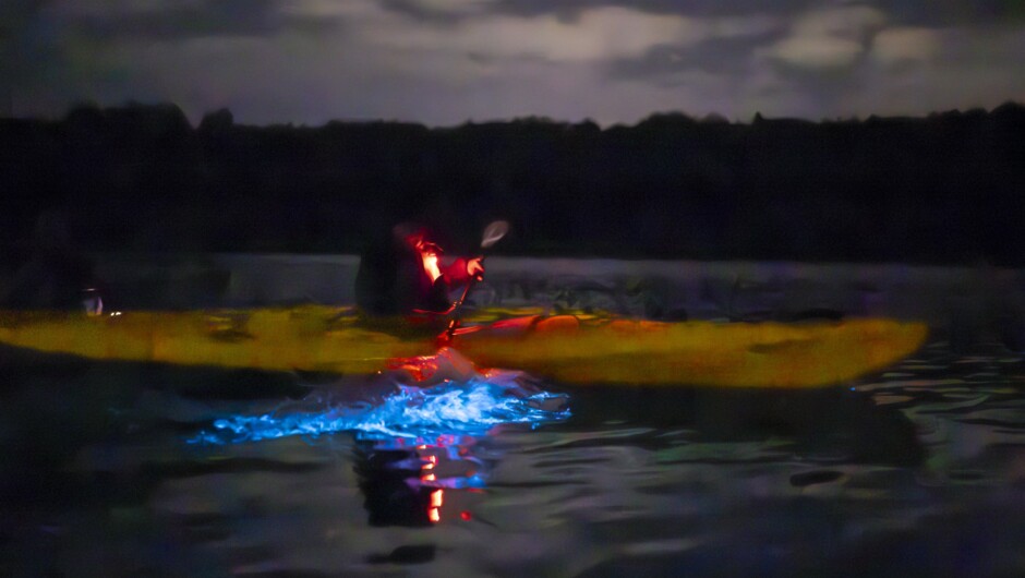 Bioluminescent Kayak Tour