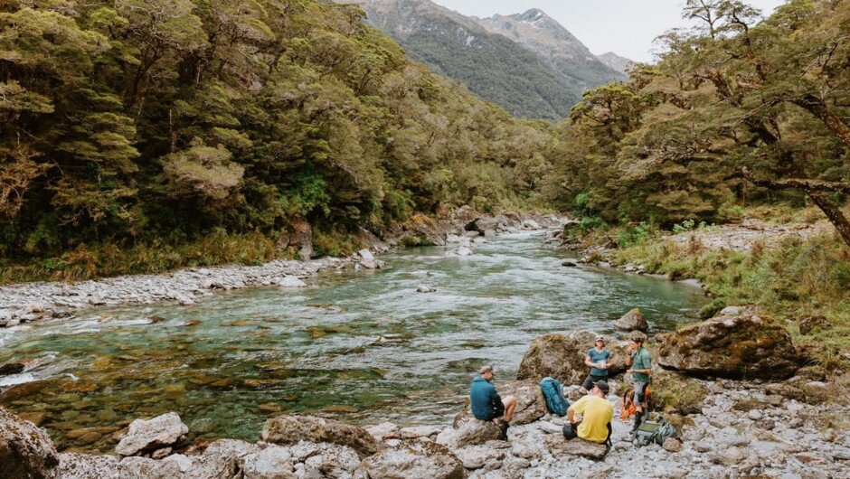 Your New Zealand Trekking Adventure Awaits