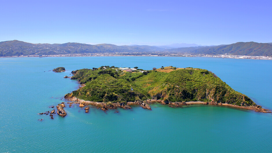 Mātiu/Somes Island