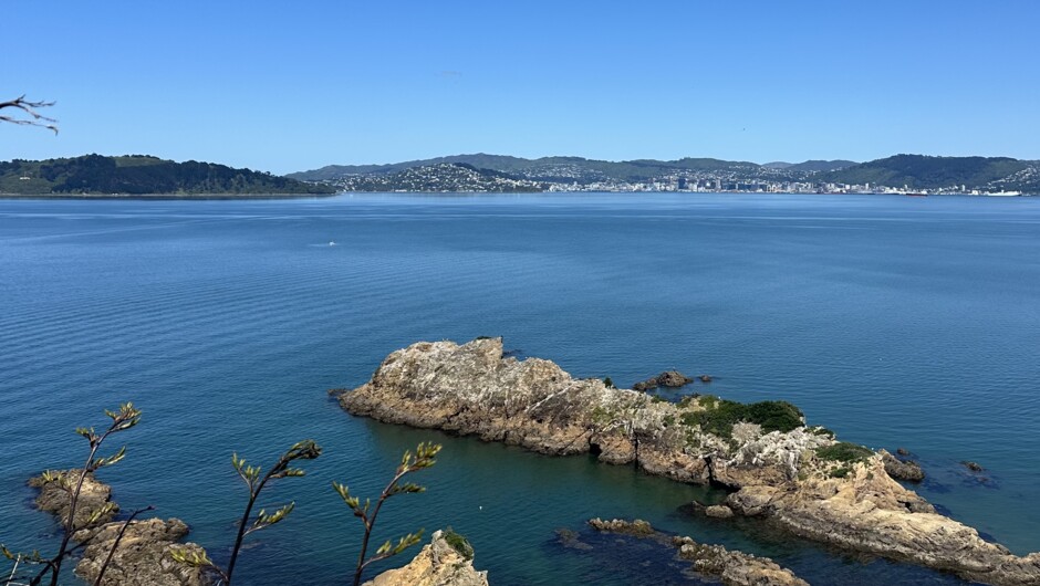 View from Mātiu/Somes Island