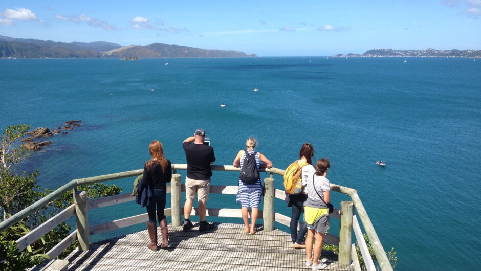 Look out from Mātiu