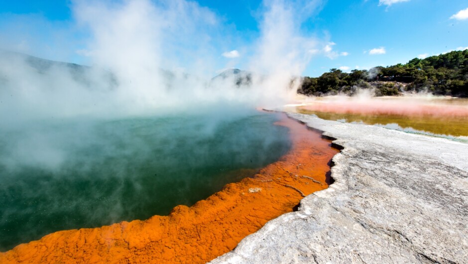 Explore the geothermal wonders of Wai-O-Tapu Thermal Wonderland