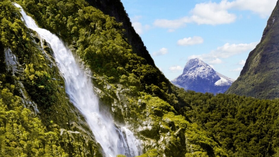 A full-day excursion to Milford Sound