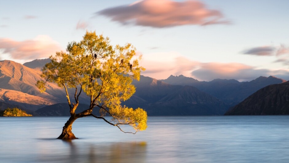 Admire stunning vistas of Lake Wanaka