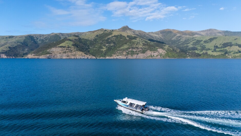 Swim boat - Akaroa Harbour