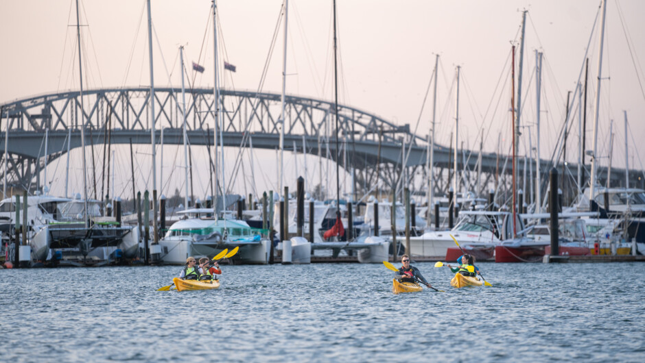 Kayaking at Westhaven Marina