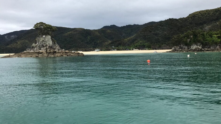 Abel Tasman