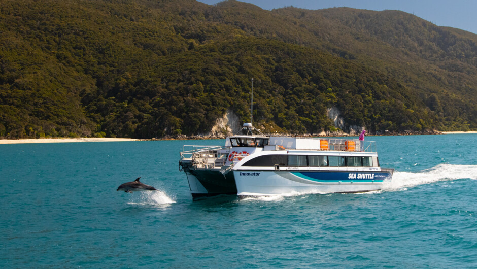 Abel Tasman Sea Shuttle - cruising