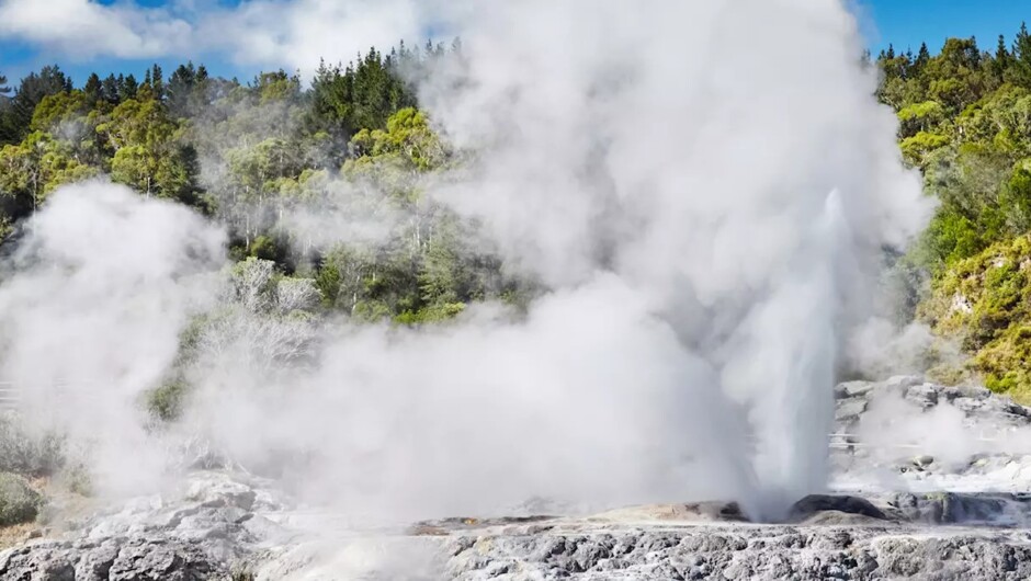 Pohutu Geyser Rotorua