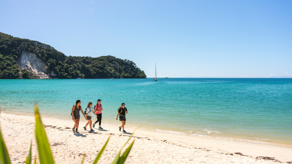 Abel Tasman National Park