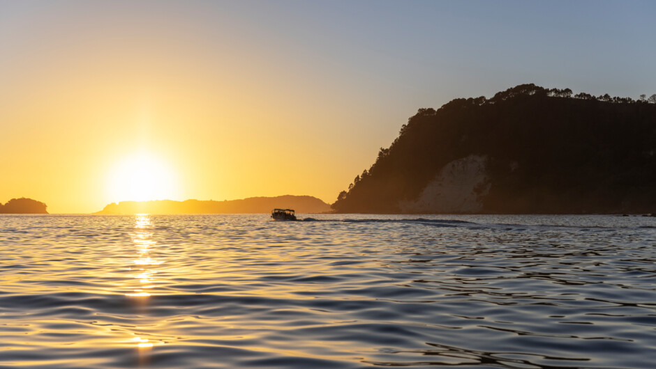 Whitianga, Coromandel Peninsula