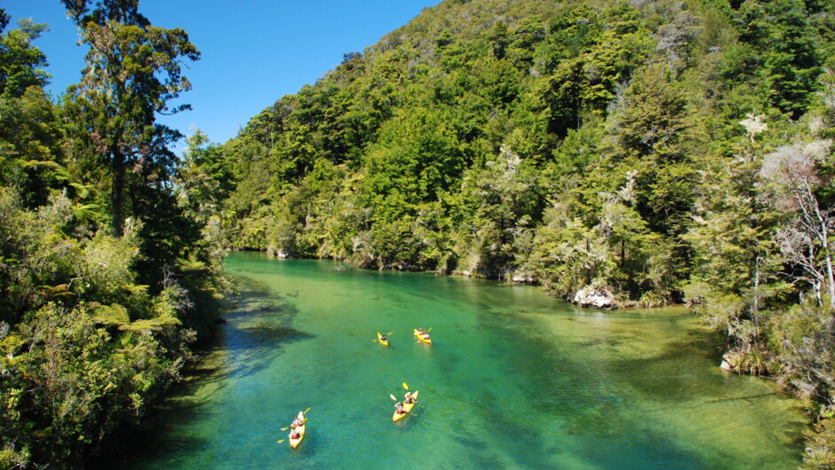 Kayaking in Abel Tasman National Park