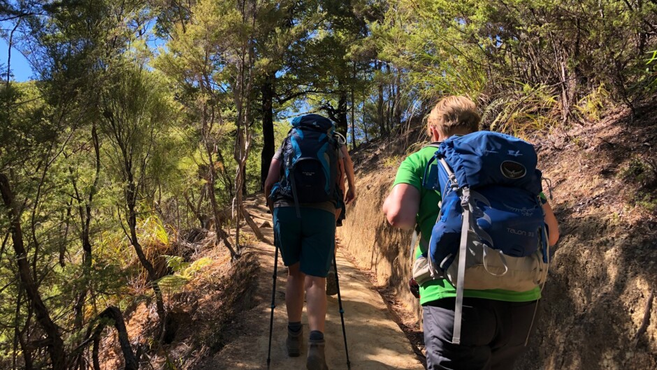 Hiking in Abel Tasman National Park