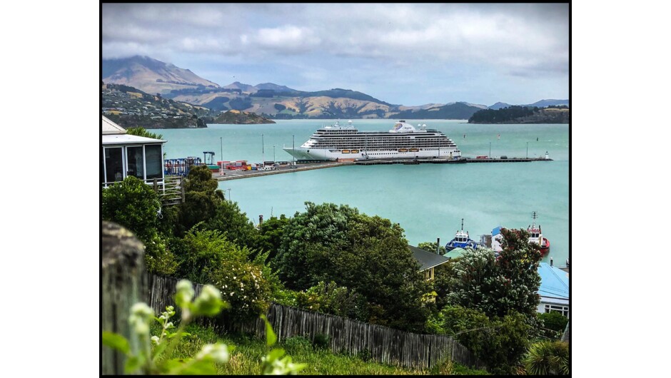 Lyttelton Harbour view