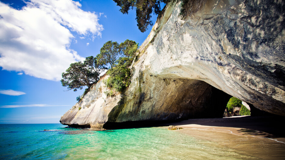 Explore Cathedral Cove in the Coromandel Peninsula