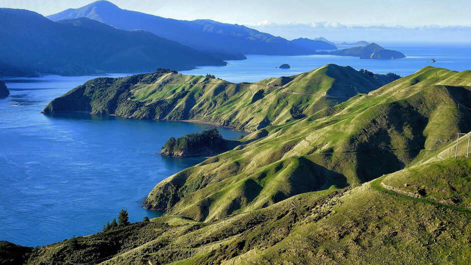 Explore the islands and inlets of Marlborough Sounds