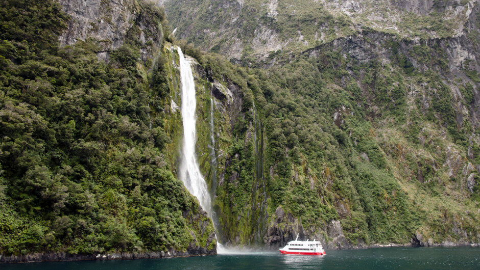 Admire the beauty of Milford Sound