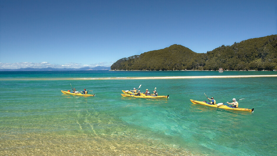 Explore Abel Tasman National Park