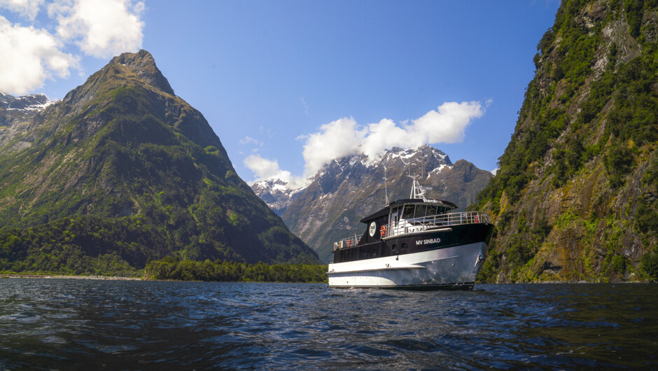 Milford Sound Premium Cruise