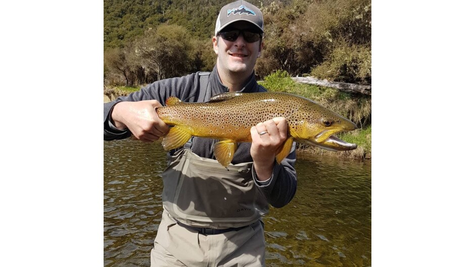 Dry fly eater