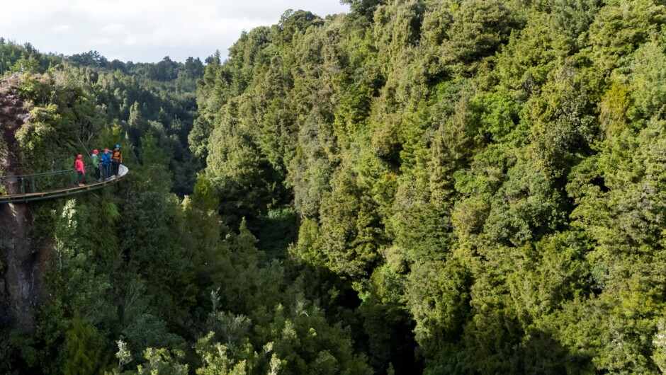 New Zealand's only volcanic cliff walk.