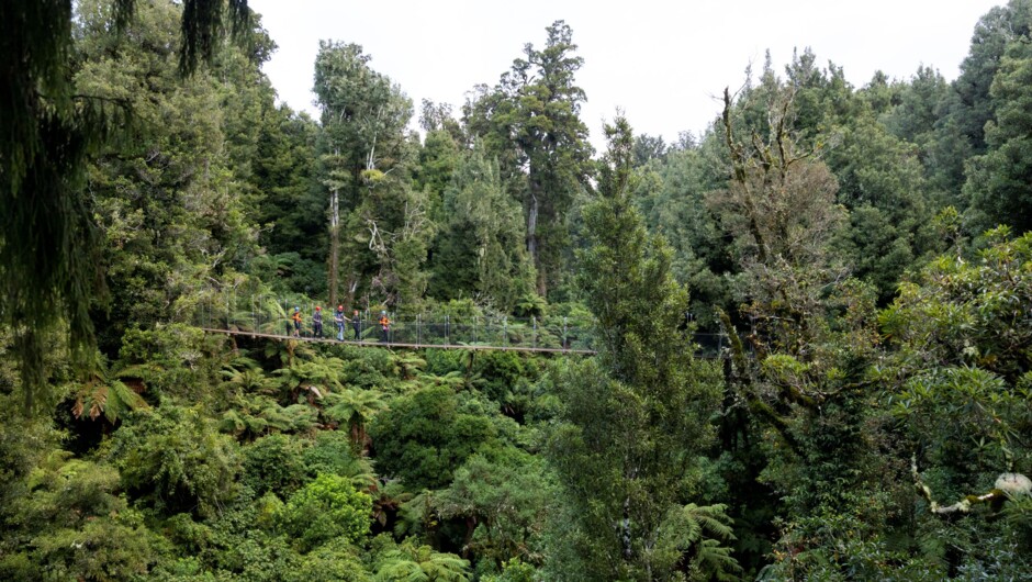 Traverse incredible swing bridges.