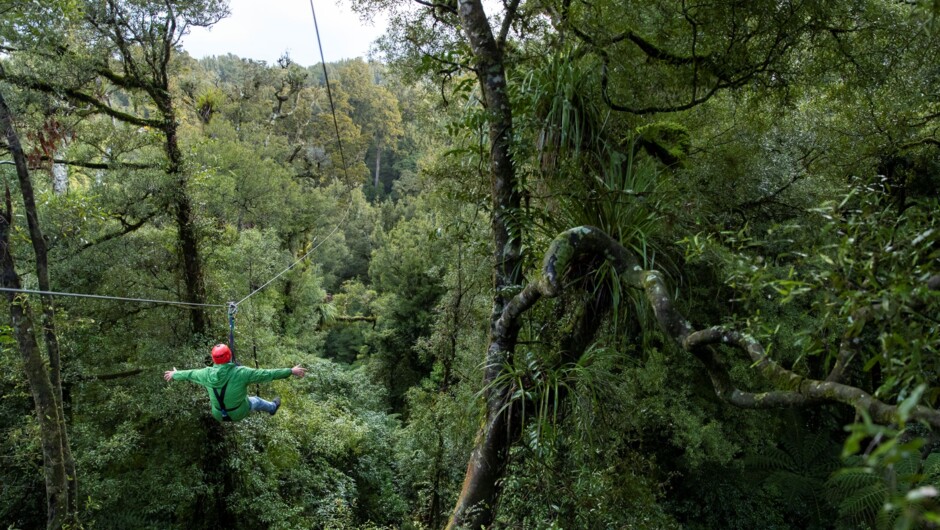 Fly through an ancient native New Zealand forest.