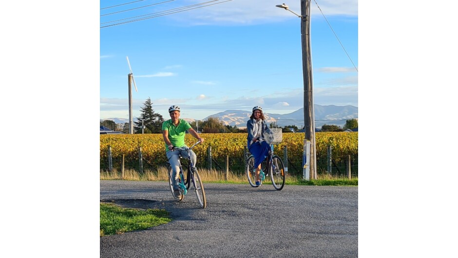 Cycle the Vineyards with bike hire from Martinborough TOP 10.