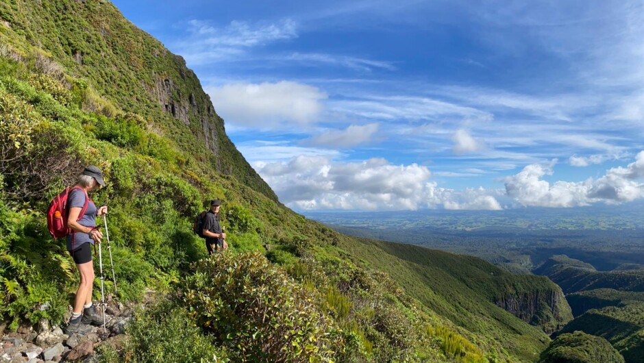 Mt. Taranaki offers vast cinematic landscapes and dense, high-quality New Zealand forest.