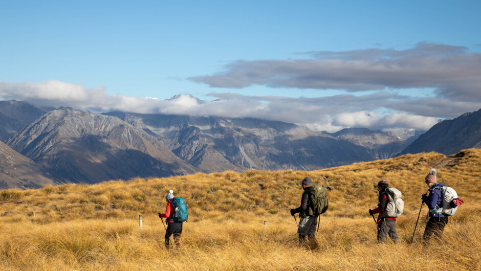 Walking amidst the Southern Alps of New Zealand