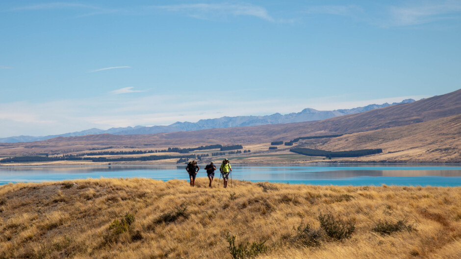 Overlooking Lake Tekapo from Snake Ridge above Rex Simpson Hut