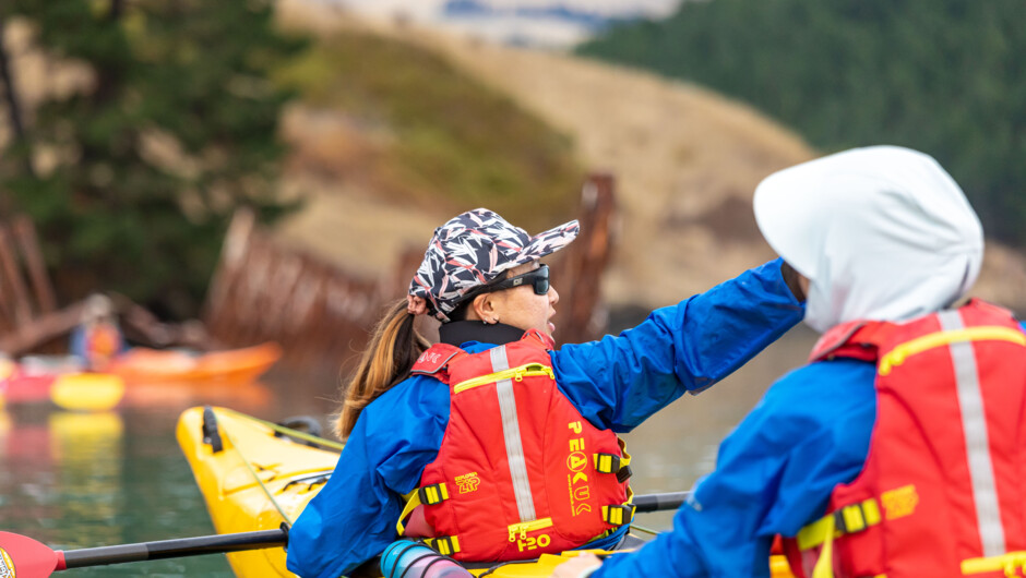 Ship wreaks on Quail Island, Lyttelton Harbour