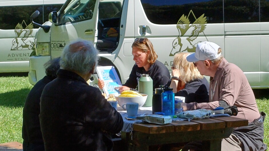 Morning Tea on the way to Akaroa (sightseeing tour)