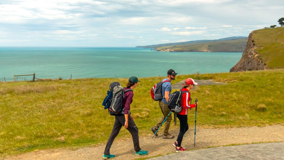 Lyttelton & Godley head scenic drive and Guided Walking tour from Christchurch