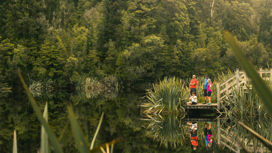 Lake Matheson View Point