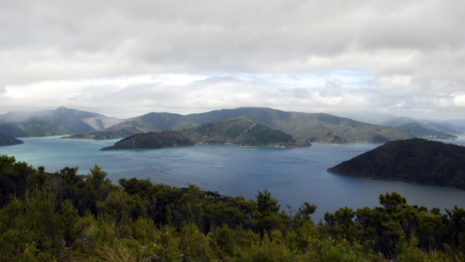 View from look out at Bay of Many Coves