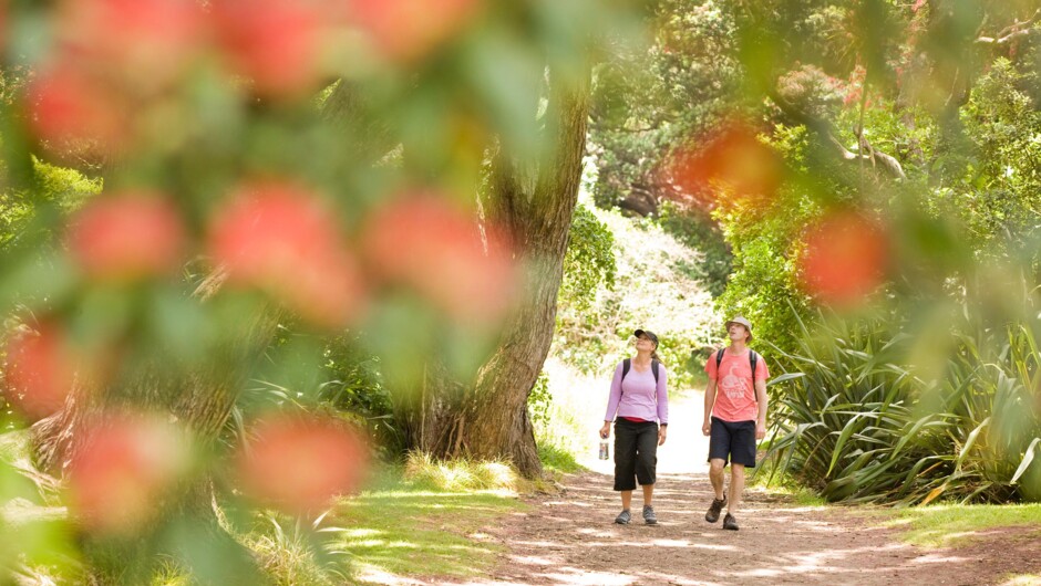 See some of Auckland's most beautiful placeson an Auckland Maori Tour