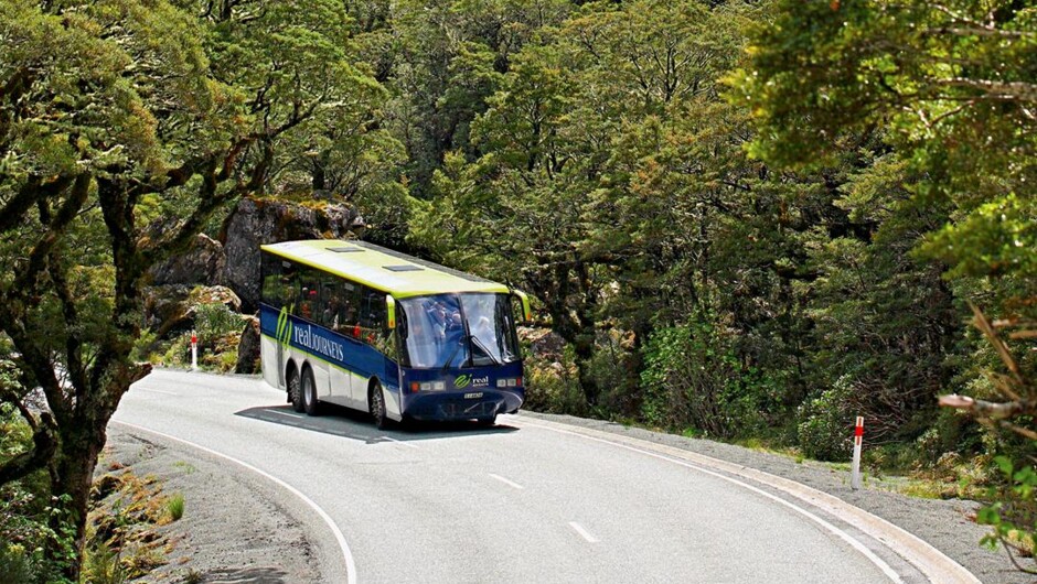 Doubtful Sound Wilderness Cruises - Real Journeys