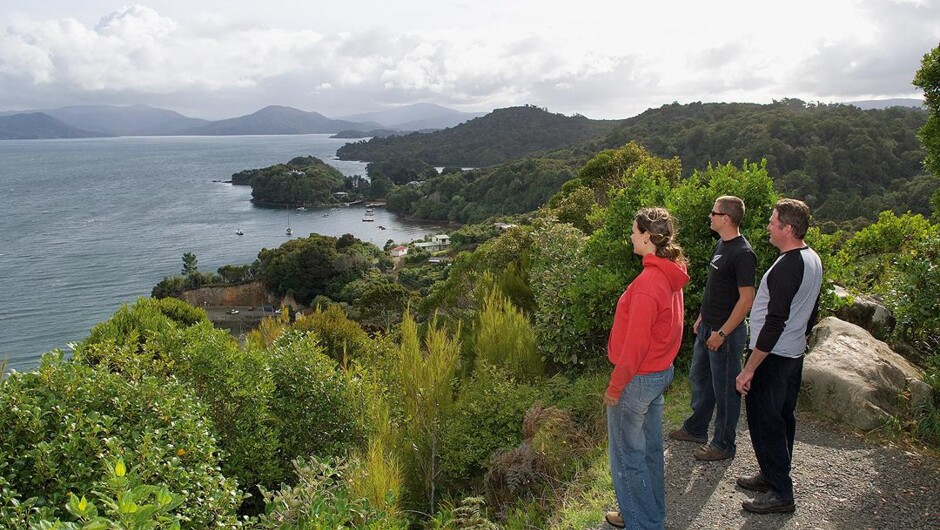 Village & Bays Tours - Stewart Island Experience