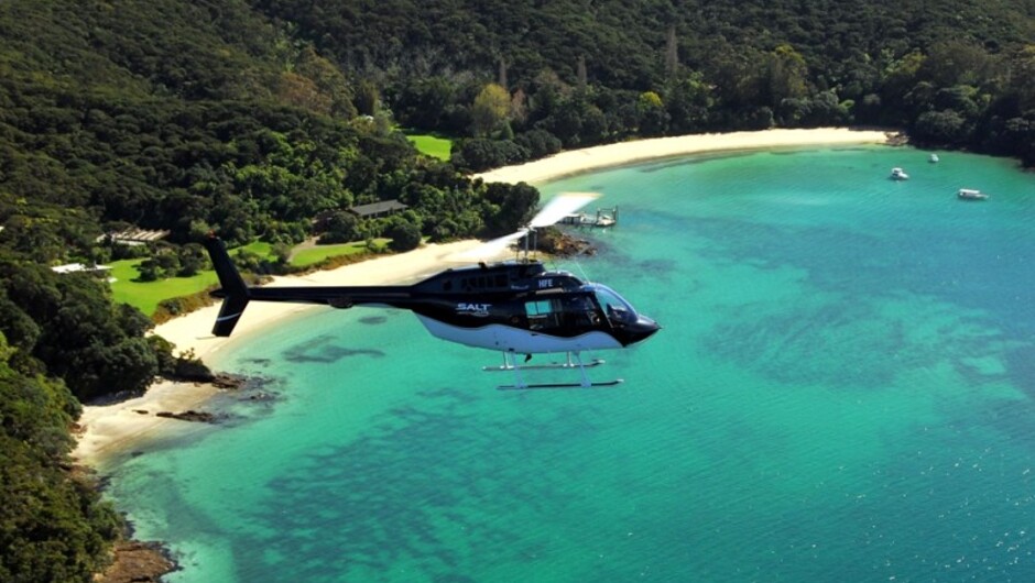 Motorua Island Bay of Islands