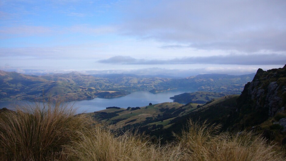 Akaroa harbour