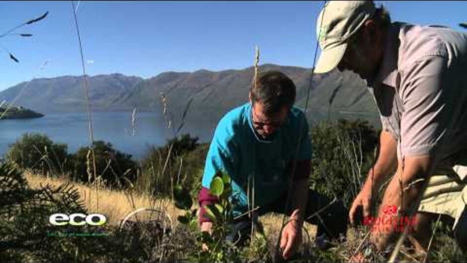 Wanaka Nature Encounter