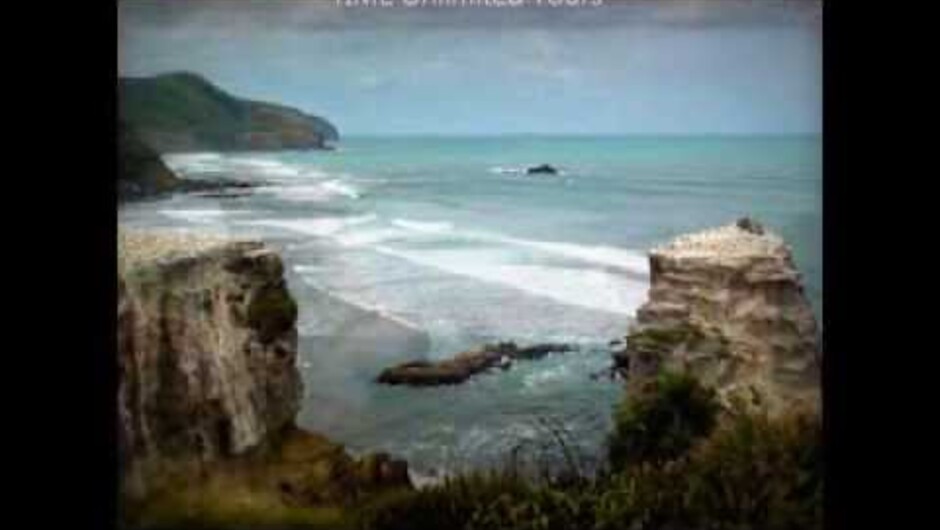 Auckland West Coast Tours - Muriwai.wmv