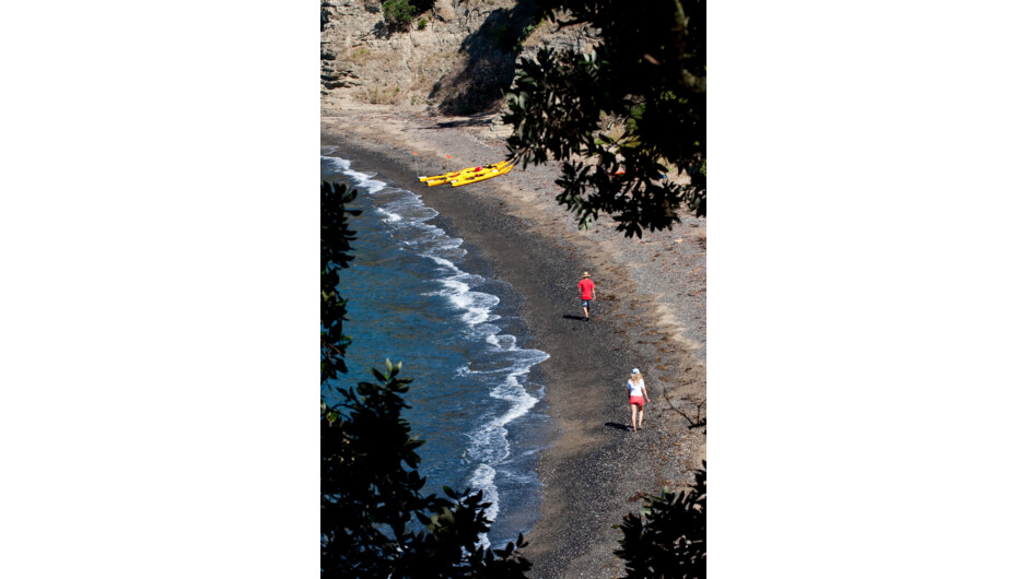 1/2 day sea kayak tour to Motukorea