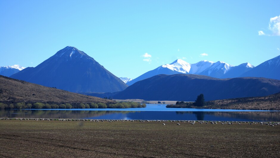 Arthur's Pass Day Tour & TranzAlpine Train (with Canterbury Trails)