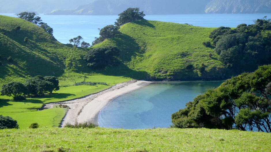 Beautiful Urupukapuka Bay