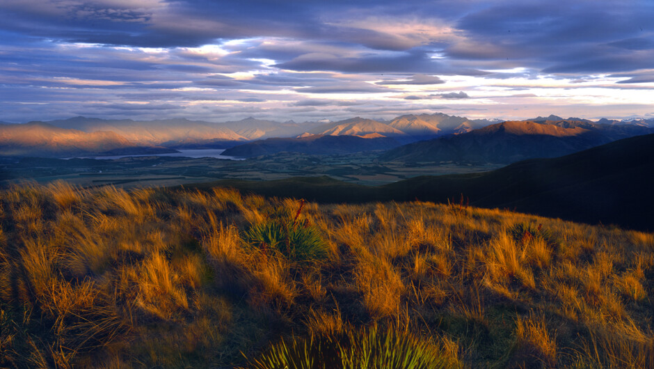 Sunrise on a Central Otago Photo Safari